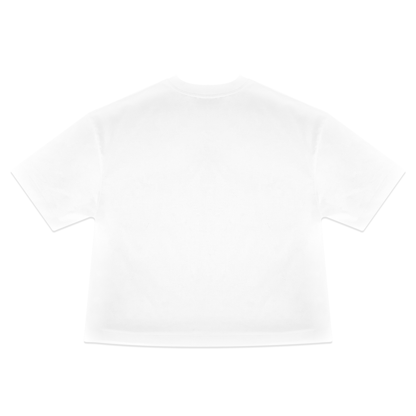 EMBLEM T-SHIRT IN WHITE